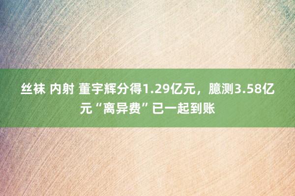 丝袜 内射 董宇辉分得1.29亿元，臆测3.58亿元“离异费”已一起到账