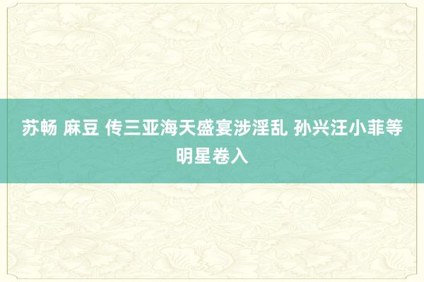 苏畅 麻豆 传三亚海天盛宴涉淫乱 孙兴汪小菲等明星卷入