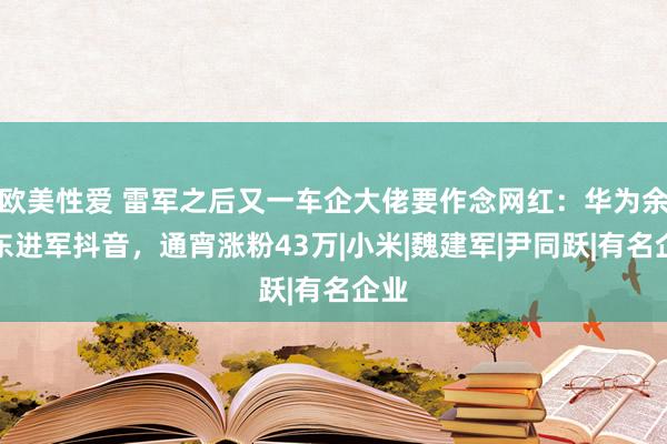 欧美性爱 雷军之后又一车企大佬要作念网红：华为余承东进军抖音，通宵涨粉43万|小米|魏建军|尹同跃|有名企业