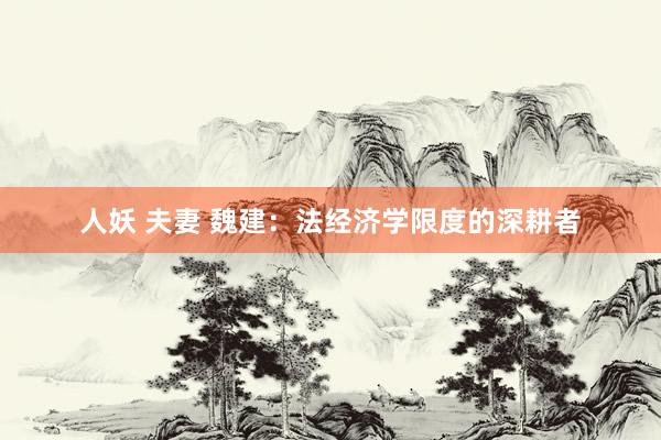 人妖 夫妻 魏建：法经济学限度的深耕者