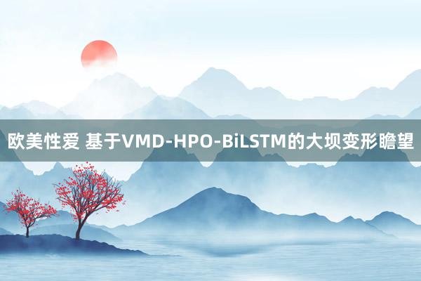 欧美性爱 基于VMD-HPO-BiLSTM的大坝变形瞻望