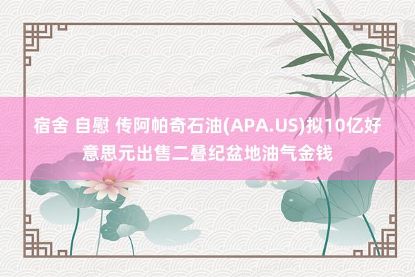 宿舍 自慰 传阿帕奇石油(APA.US)拟10亿好意思元出售二叠纪盆地油气金钱