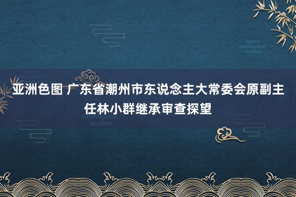 亚洲色图 广东省潮州市东说念主大常委会原副主任林小群继承审查探望