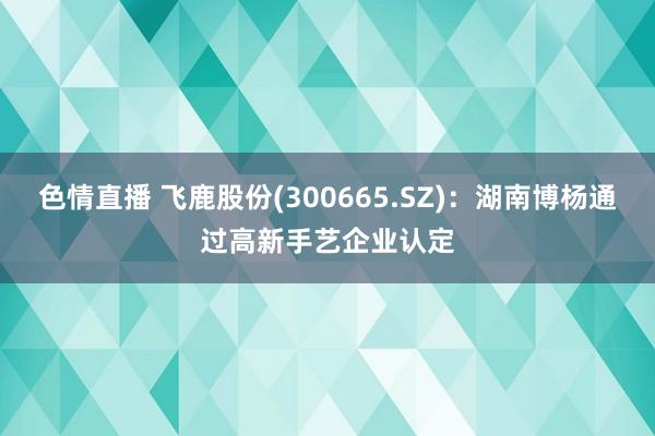 色情直播 飞鹿股份(300665.SZ)：湖南博杨通过高新手艺企业认定