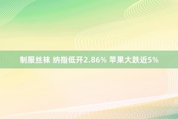 制服丝袜 纳指低开2.86% 苹果大跌近5%