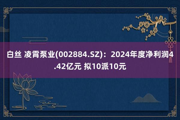 白丝 凌霄泵业(002884.SZ)：2024年度净利润4.42亿元 拟10派10元